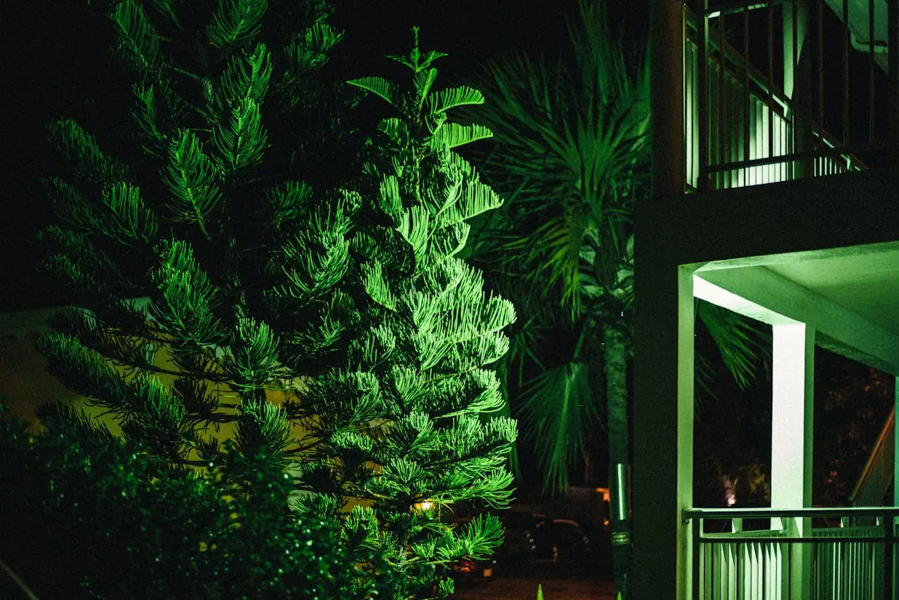 A well-lit front yard in Toronto with pathway and accent lights enhancing curb appeal, designed by Fols Design.